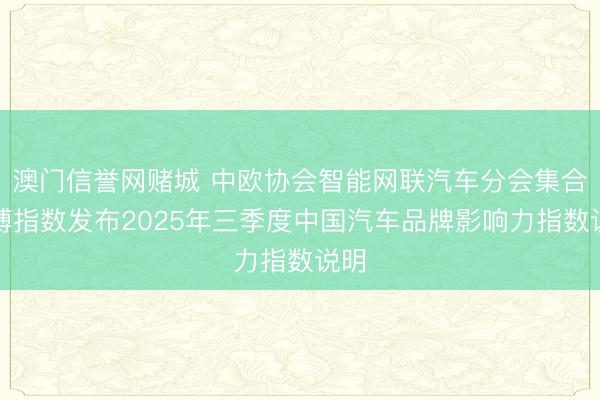 澳门信誉网赌城 中欧协会智能网联汽车分会集合清博指数发布2025年三季度中国汽车品牌影响力指数说明