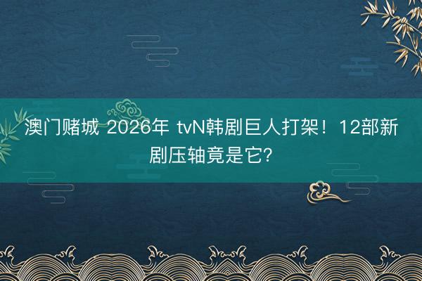 澳门赌城 2026年 tvN韩剧巨人打架！12部新剧压轴竟是它？