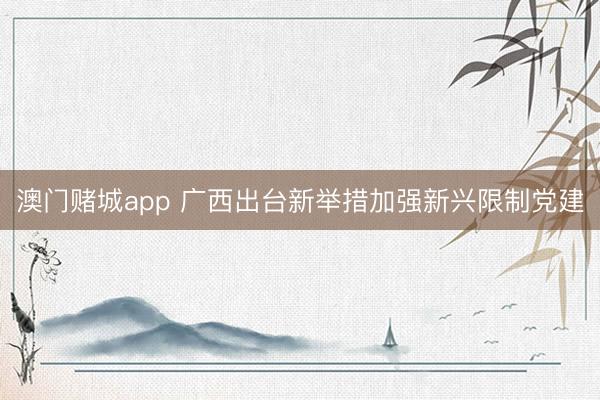 澳门赌城app 广西出台新举措加强新兴限制党建