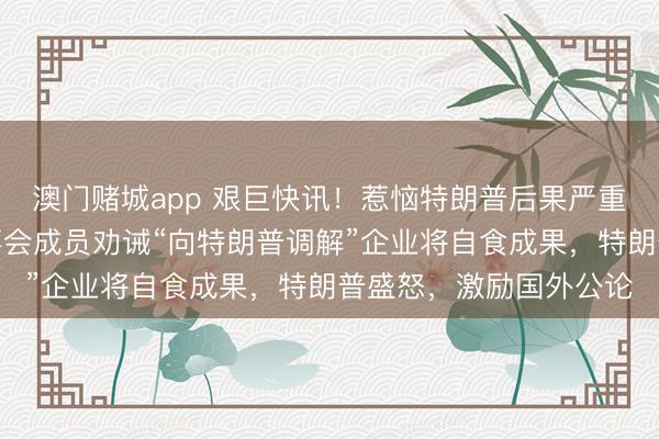 澳门赌城app 艰巨快讯!惹恼特朗普后果严重!外媒揭秘:网飞董事会成员劝诫“向特朗普调解”企业将自食成果,特朗普盛怒,激励国外公论