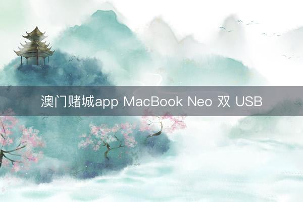 澳门赌城app MacBook Neo 双 USB